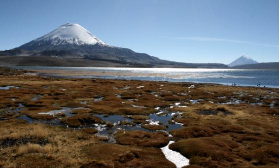 Lac Chungara