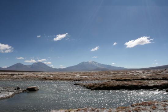 Salar de Surire