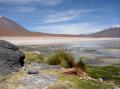 Salar de Talar