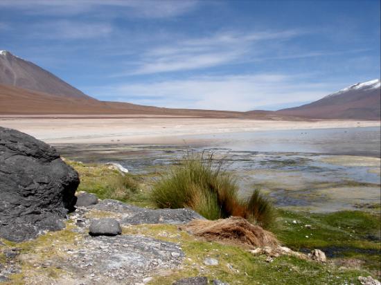 Salar de Talar